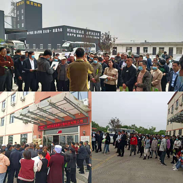 1629423306410873.png 1629423306410873.png