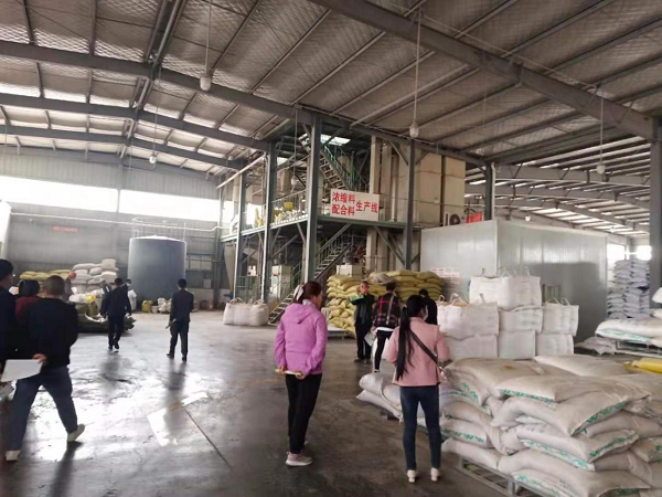 1629431363334525.png 1629431363334525.png