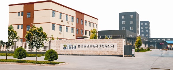 1629441160485820.jpg 4.jpg