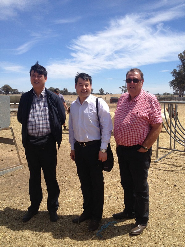 1629446506705345.jpg 1629446506705345.jpg