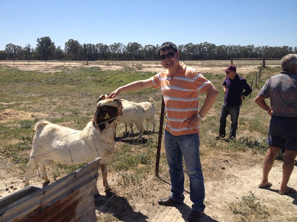 1629446530809956.jpg 1629446530809956.jpg