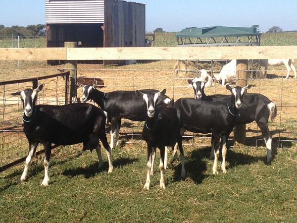 1629446547601159.jpg 4.jpg