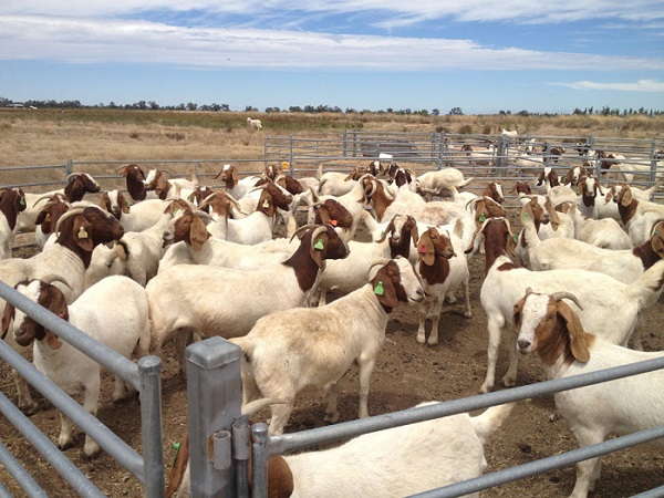 1629446562685119.jpg 5.jpg