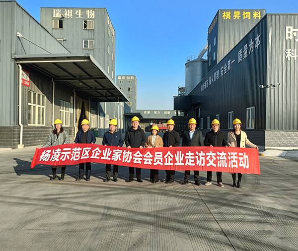 1637975116778502.jpg 1.jpg