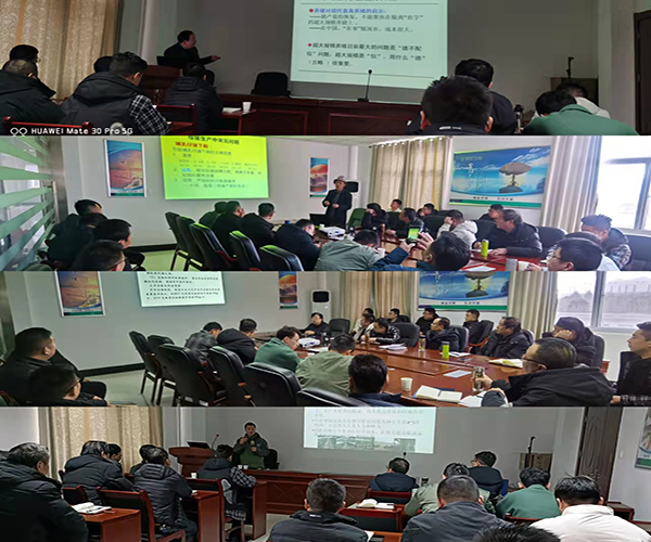 1645145989645503.jpg 22.jpg