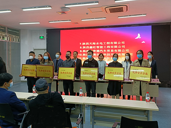 1650071010636240.jpg 1.jpg