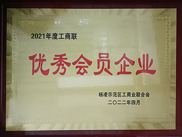 1650071076128032.jpg 2.jpg