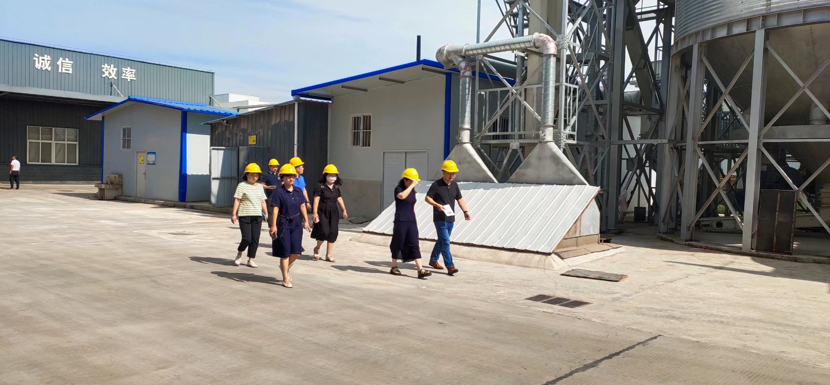 1658991382911356.jpg 001.jpg