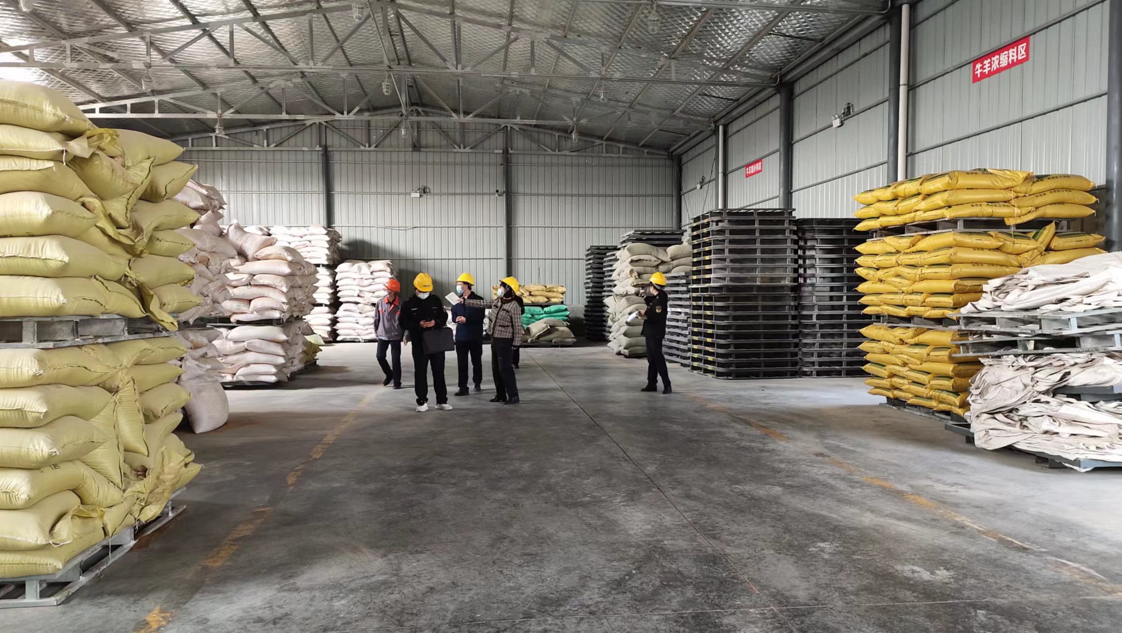 1667187207163202.jpg 003.jpg