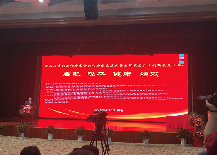 1681893084174413.png 圖片1.png