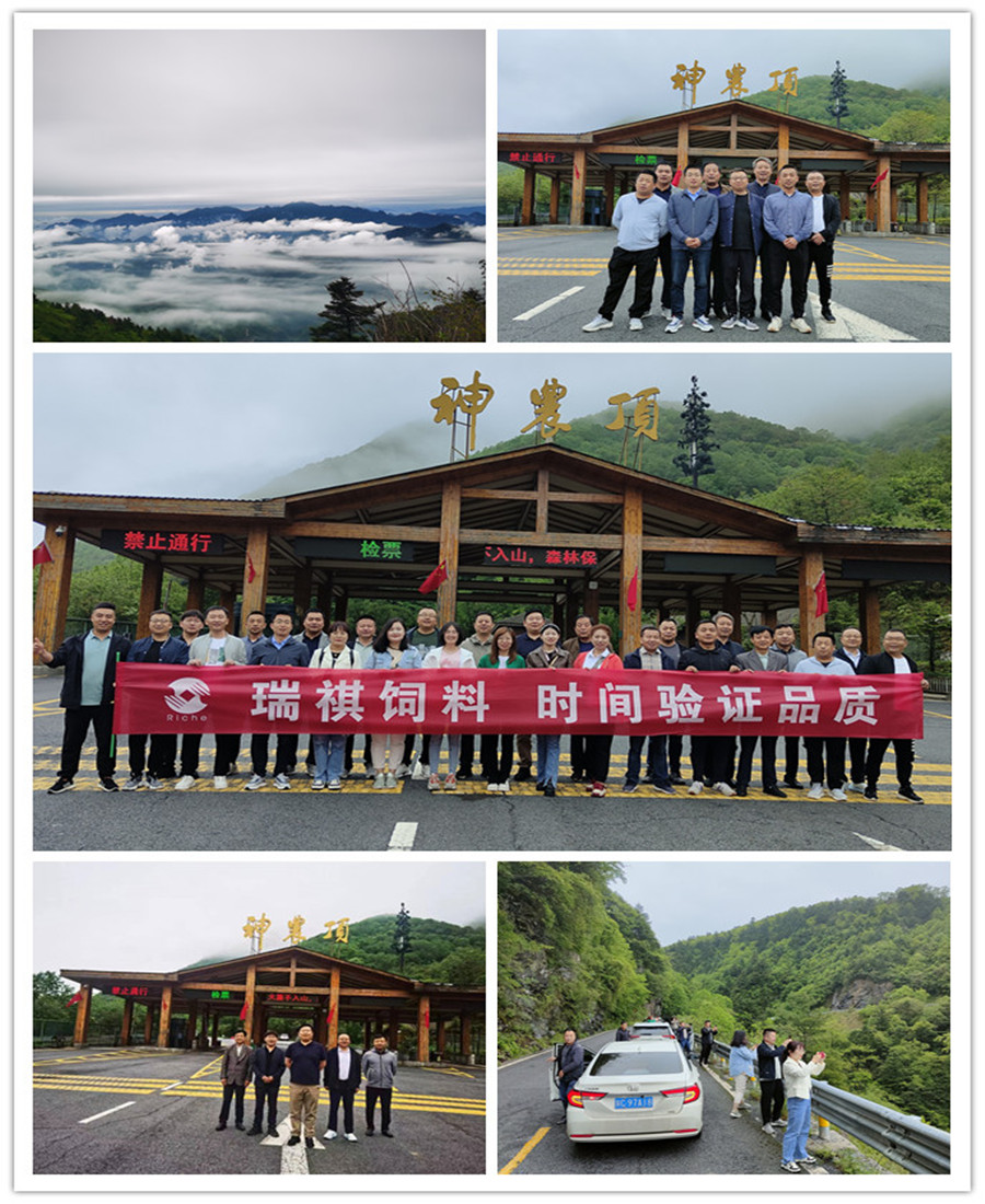 1686102006952206.jpg 4a25a61c4191bca4015a12666d5a866.jpg