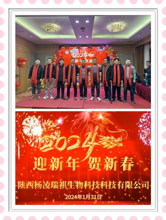 1707306211108232.jpg 4_副本.jpg