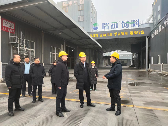 1708224515776961.jpg 003.jpg