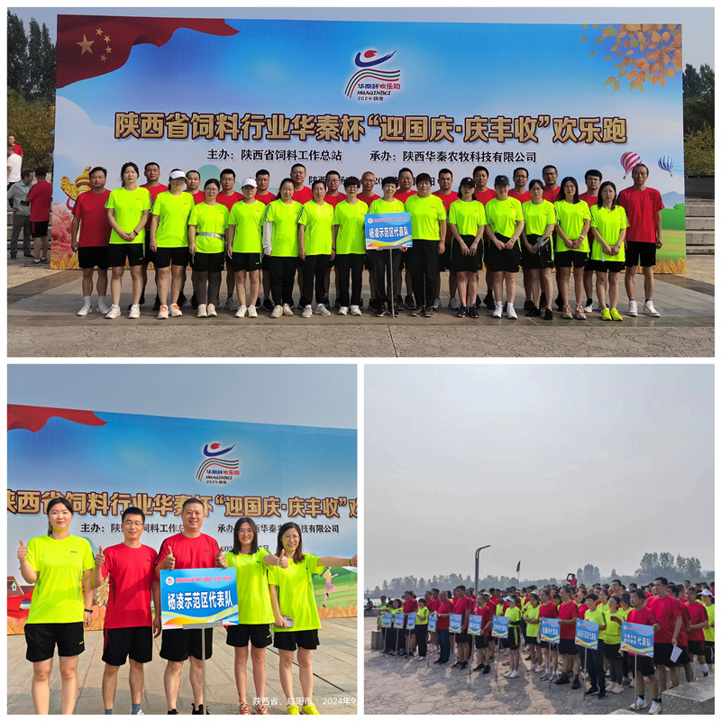 1727597400412499.jpg 1.jpg